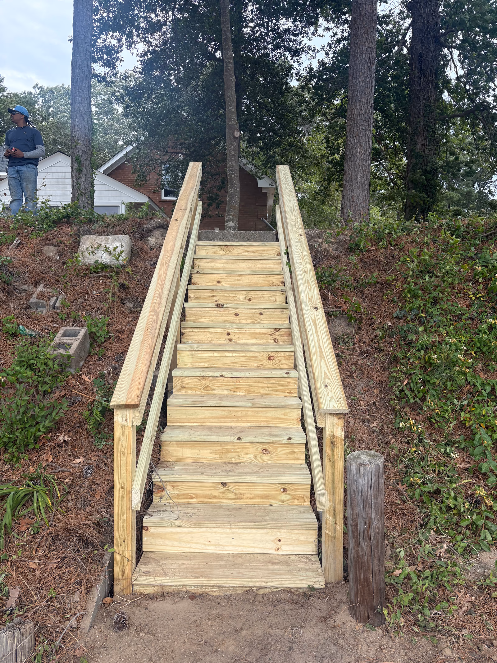 New timber shoreline stairs with handrails climbing a wooded bank.
